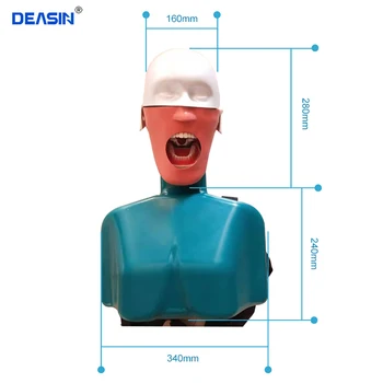 Модел паста за главата с плечевыми фитнес уреди, Хигиенни Манекен Модел на Зъбите на Aicc Стоматологичен Манекен Фантомна Глава с Торс